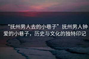 “撫州男人去的小巷子”撫州男人鐘愛的小巷子，歷史與文化的獨(dú)特印記