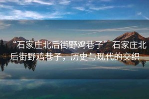“石家莊北后街野雞巷子”石家莊北后街野雞巷子，歷史與現(xiàn)代的交織