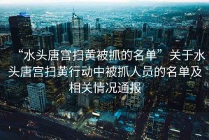 “水頭唐宮掃黃被抓的名單”關于水頭唐宮掃黃行動中被抓人員的名單及相關情況通報