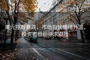 美元指數(shù)暴跌，市場(chǎng)擔(dān)憂情緒升溫，投資者紛紛尋求避險(xiǎn)