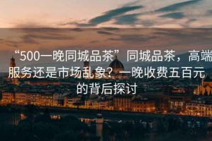 “500一晚同城品茶”同城品茶，高端服務(wù)還是市場(chǎng)亂象？一晚收費(fèi)五百元的背后探討