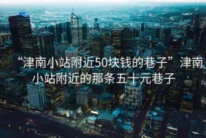 “津南小站附近50塊錢的巷子”津南小站附近的那條五十元巷子