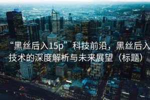 “黑絲后入15p”科技前沿，黑絲后入技術(shù)的深度解析與未來展望（標(biāo)題）