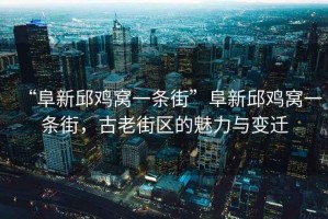 “阜新邱雞窩一條街”阜新邱雞窩一條街，古老街區(qū)的魅力與變遷