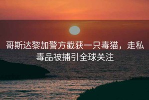 哥斯達(dá)黎加警方截獲一只毒貓，走私毒品被捕引全球關(guān)注