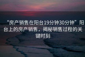 “房產(chǎn)銷售在陽臺(tái)19分鐘30分鐘”陽臺(tái)上的房產(chǎn)銷售，揭秘銷售過程的關(guān)鍵時(shí)刻