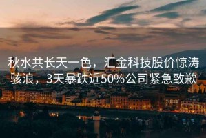 秋水共長天一色，匯金科技股價驚濤駭浪，3天暴跌近50%公司緊急致歉