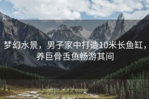 夢幻水景，男子家中打造10米長魚缸，養(yǎng)巨骨舌魚暢游其間