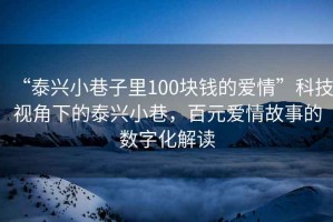 “泰興小巷子里100塊錢的愛情”科技視角下的泰興小巷，百元愛情故事的數(shù)字化解讀