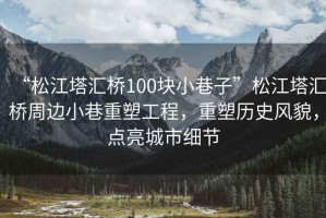 “松江塔匯橋100塊小巷子”松江塔匯橋周邊小巷重塑工程，重塑歷史風貌，點亮城市細節(jié)