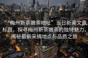 “梅州新茶嫩茶地址”當(dāng)日新聞文章標(biāo)題，探尋梅州新茶嫩茶的獨(dú)特魅力，揭秘最新采摘地點(diǎn)與品質(zhì)之旅