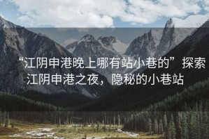 “江陰申港晚上哪有站小巷的”探索江陰申港之夜，隱秘的小巷站