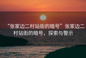 “張家邊二村站街的暗號”張家邊二村站街的暗號，探索與警示