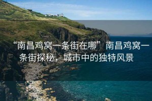 “南昌雞窩一條街在哪”南昌雞窩一條街探秘，城市中的獨特風景