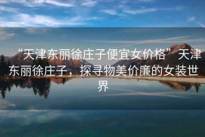 “天津東麗徐莊子便宜女價格”天津東麗徐莊子，探尋物美價廉的女裝世界