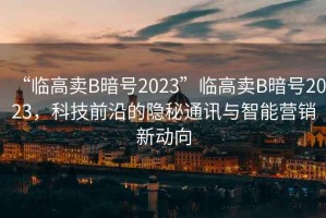“臨高賣B暗號2023”臨高賣B暗號2023，科技前沿的隱秘通訊與智能營銷新動向