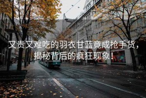 又貴又難吃的羽衣甘藍(lán)竟成搶手貨，揭秘背后的瘋狂現(xiàn)象！