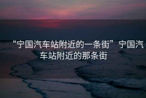 “寧國(guó)汽車站附近的一條街”寧國(guó)汽車站附近的那條街