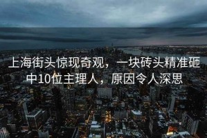 上海街頭驚現(xiàn)奇觀，一塊磚頭精準砸中10位主理人，原因令人深思