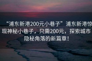 “浦東新港200元小巷子”浦東新港驚現(xiàn)神秘小巷子，只需200元，探索城市隱秘角落的新篇章！