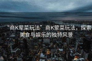 “商K葷菜玩法”商K葷菜玩法，探索美食與娛樂的獨特風(fēng)景