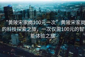 “黃陂宋家崗100元一次”黃陂宋家崗的科技探索之旅，一次僅需100元的智能體驗(yàn)之旅