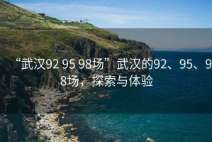 “武漢92 95 98場(chǎng)”武漢的92、95、98場(chǎng)，探索與體驗(yàn)