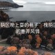 “槐蔭區(qū)晚上耍的巷子”槐蔭區(qū)夜晚的巷弄風情