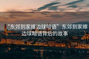 “東郊到家擦邊球暗語(yǔ)”東郊到家擦邊球暗語(yǔ)背后的故事