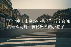 “萬寧晚上出名的小巷子”萬寧夜晚的璀璨明珠—神秘出名的小巷子