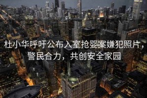 杜小華呼吁公布入室搶嬰案嫌犯照片，警民合力，共創(chuàng)安全家園