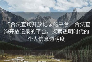 “合法查詢開放記錄的平臺(tái)”合法查詢開放記錄的平臺(tái)，探索透明時(shí)代的個(gè)人信息透明度