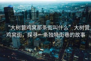 “大樹營雞窩那條街叫什么”大樹營雞窩街，探尋一條獨特街巷的故事