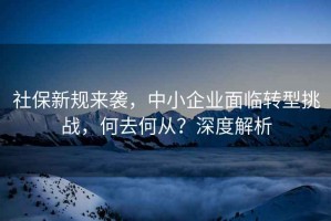 社保新規(guī)來襲，中小企業(yè)面臨轉(zhuǎn)型挑戰(zhàn)，何去何從？深度解析
