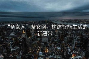 “條女網(wǎng)”條女網(wǎng)，構(gòu)建智能生活的新紐帶