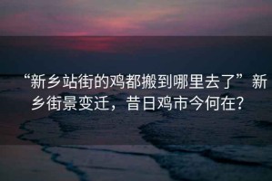“新鄉(xiāng)站街的雞都搬到哪里去了”新鄉(xiāng)街景變遷，昔日雞市今何在？