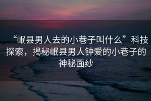“岷縣男人去的小巷子叫什么”科技探索，揭秘岷縣男人鐘愛的小巷子的神秘面紗