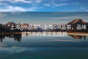 “上海gm品茶”上海GM品茶，品味城市中的茶文化精粹