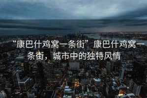 “康巴什雞窩一條街”康巴什雞窩一條街，城市中的獨(dú)特風(fēng)情