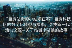 “自貢站街的小姑娘在哪”自貢科技區(qū)的數(shù)字化轉(zhuǎn)型與探索，尋找新一代活力之源—關(guān)于站街小姑娘的故事