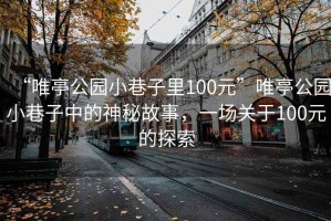 “唯亭公園小巷子里100元”唯亭公園小巷子中的神秘故事，一場關(guān)于100元的探索