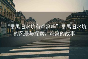 “番禺舊水坑有雞窩嗎”番禺舊水坑的風(fēng)景與探索，雞窩的故事