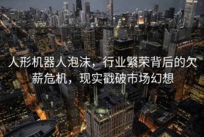 人形機器人泡沫，行業(yè)繁榮背后的欠薪危機，現(xiàn)實戳破市場幻想