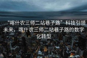 “喀什農(nóng)三師二站巷子路”科技引領(lǐng)未來(lái)，喀什農(nóng)三師二站巷子路的數(shù)字化轉(zhuǎn)型
