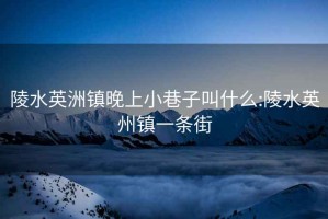陵水英洲鎮(zhèn)晚上小巷子叫什么:陵水英州鎮(zhèn)一條街