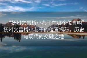 “撫州文昌橋小巷子在哪個位置啊”撫州文昌橋小巷子的位置揭秘，歷史與現(xiàn)代的交融之地