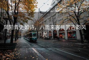 鳳陽青史如詩，八面來客共賞古韻風光