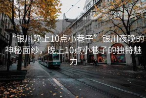 “銀川晚上10點小巷子”銀川夜晚的神秘面紗，晚上10點小巷子的獨特魅力