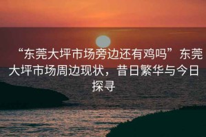 “東莞大坪市場旁邊還有雞嗎”東莞大坪市場周邊現(xiàn)狀，昔日繁華與今日探尋