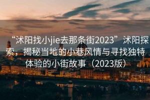 “沭陽(yáng)找小jie去那條街2023”沭陽(yáng)探索，揭秘當(dāng)?shù)氐男∠镲L(fēng)情與尋找獨(dú)特體驗(yàn)的小街故事（2023版）